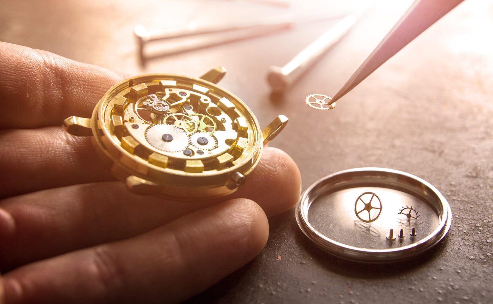 Wristwatch Repair 101 Image Showing Wristwatch Repair in Action