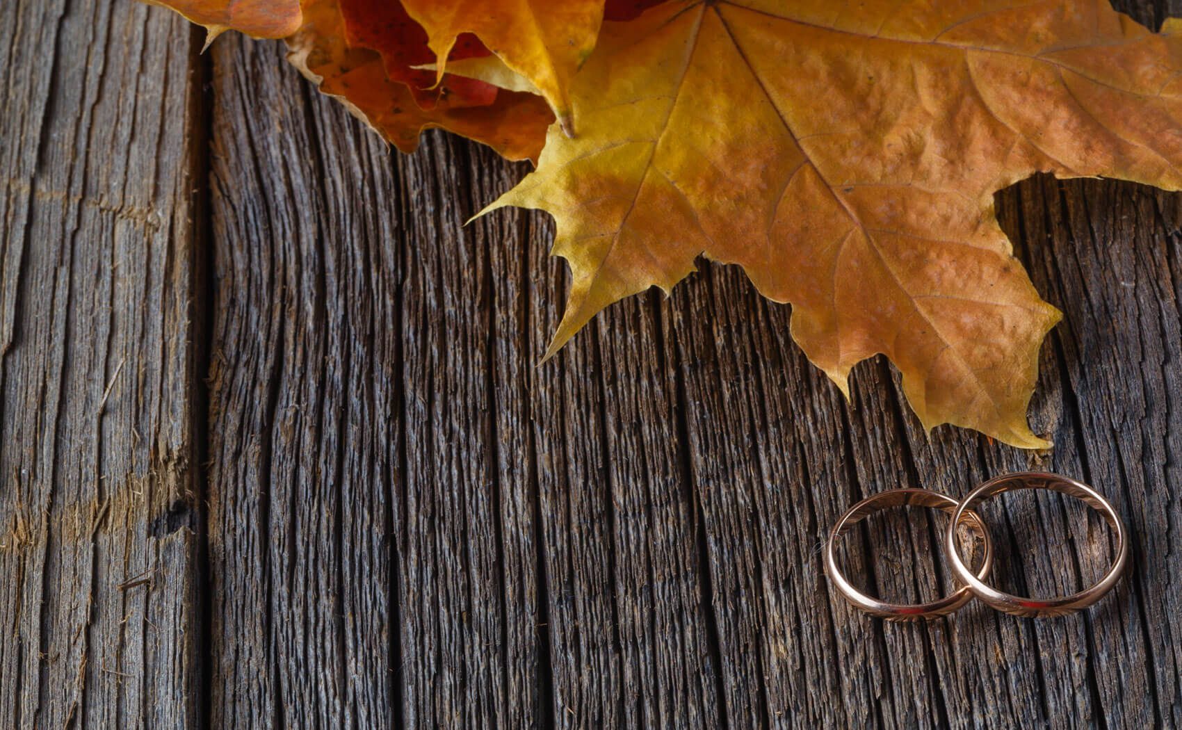 5 Ways to Make this Thanksgiving Special 5 Ways to Make this Thanksgiving Special