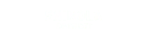 Shinola Detroit Logo